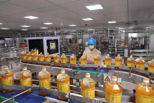 投洽會彰顯中國投資魅力，益海嘉里金龍魚持續深耕中國市場